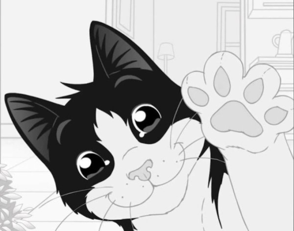 Кот Феликс из рекламы