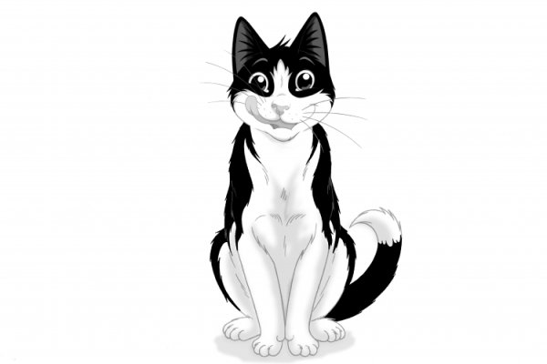 Феликс для кошек