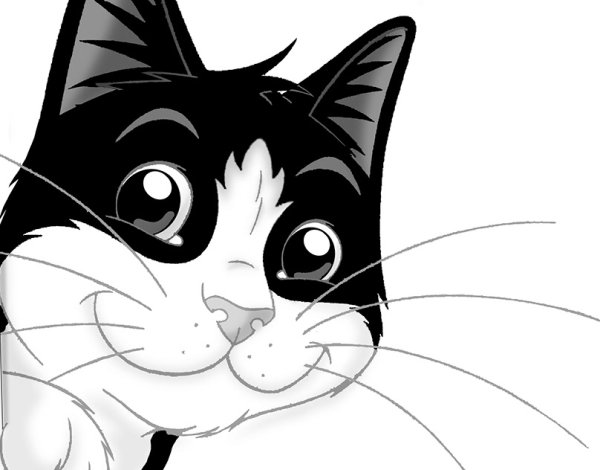 Кот Феликс корм