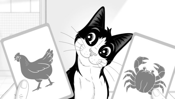 Кот Феликс из рекламы