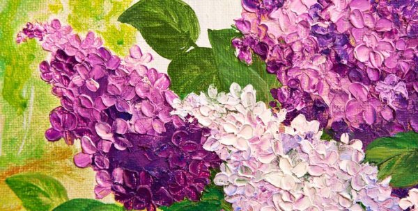 Ботаническая живопись сирень