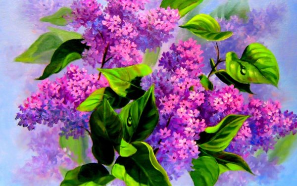 Сирень акварелью