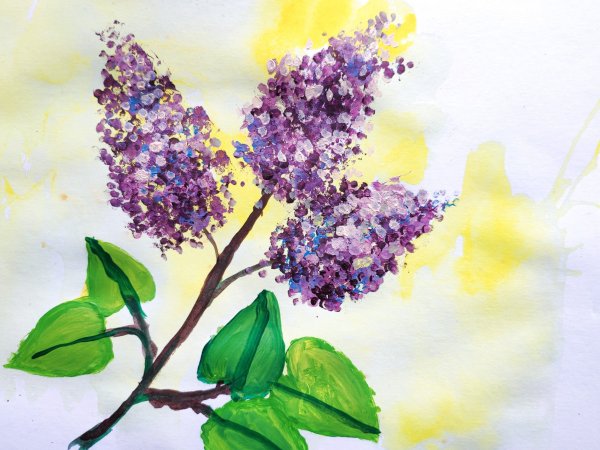 Сирень акварелью и ручкой