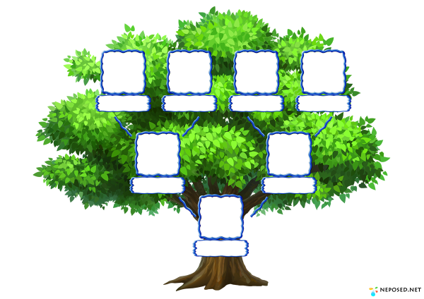 Генеологичне дерево