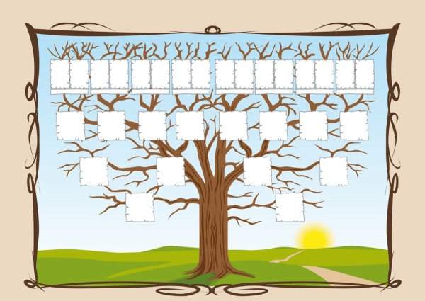 Генеалогическое дерево шаблон