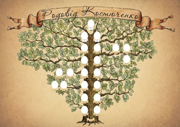 Родословное дерево Шежере