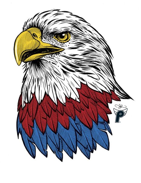 Портрет птицы