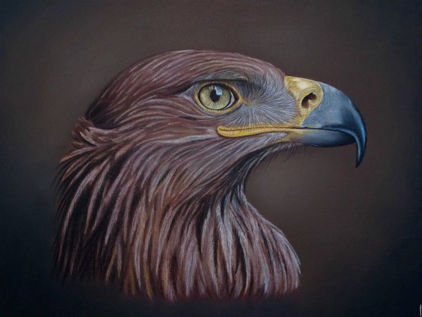 Орел зарисовка