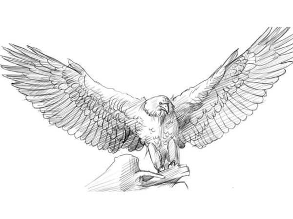 Американские рисунки