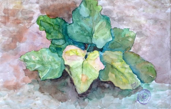 Этюд листьев лопуха