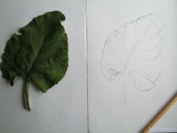 Рисование с натуры листа дерева.