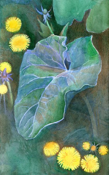 Лопух акварелью пленэр