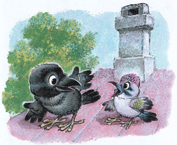 Галка с Галчата для детей