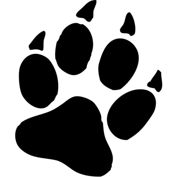 След лапы собаки