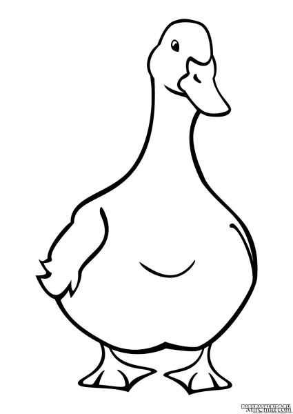 Гусь раскраска для детей