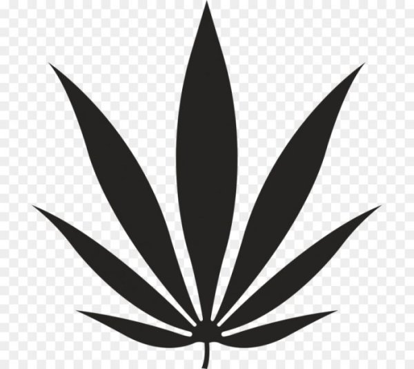 Пятилистник конопли