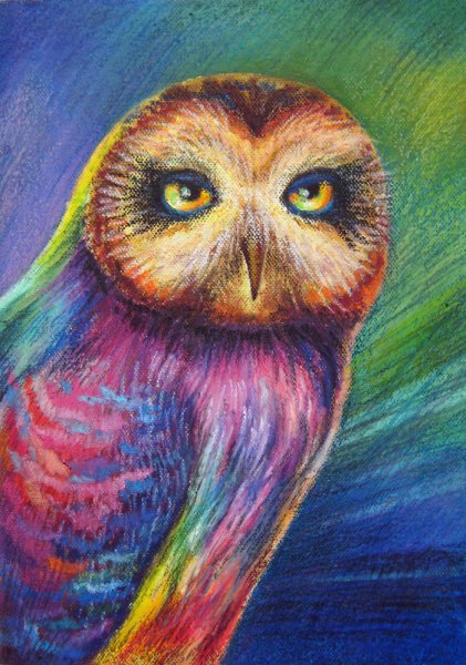 Совушка масляной пастелью