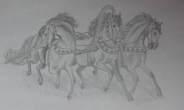 Двойка лошадей рисунок