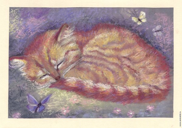 Кот масляной пастелью