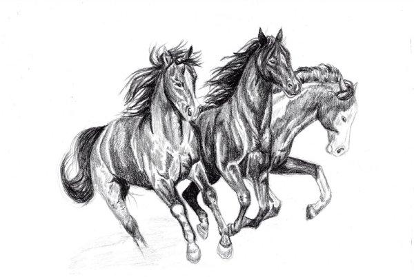 Тройка лошадей в живописи