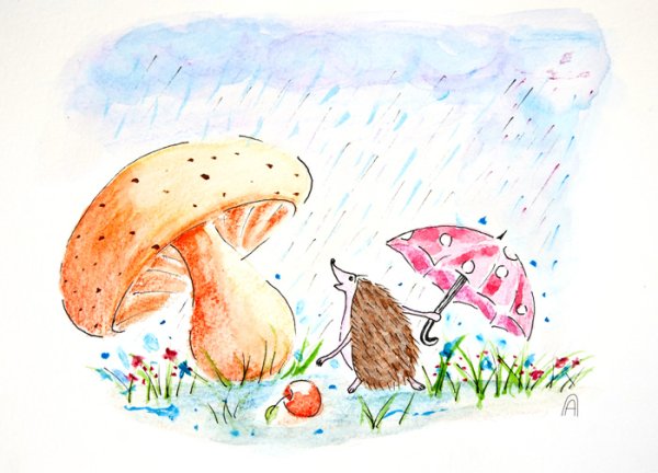 Грибной дождик рисунок