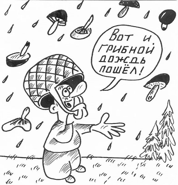 Грибной дождь прикол