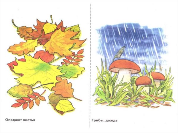 Осень для дошкольников