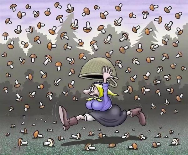 Грибной дождь