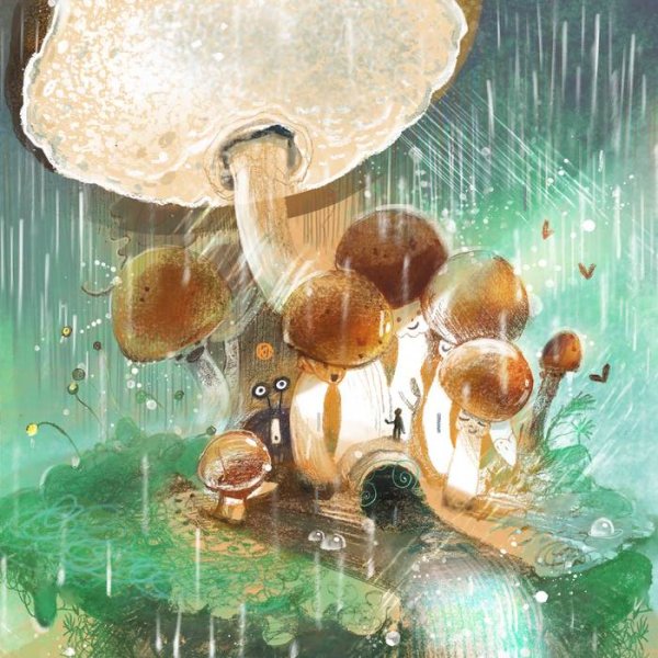 Иллюстрация грибной дождь