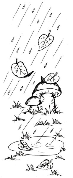 Горавский грибы