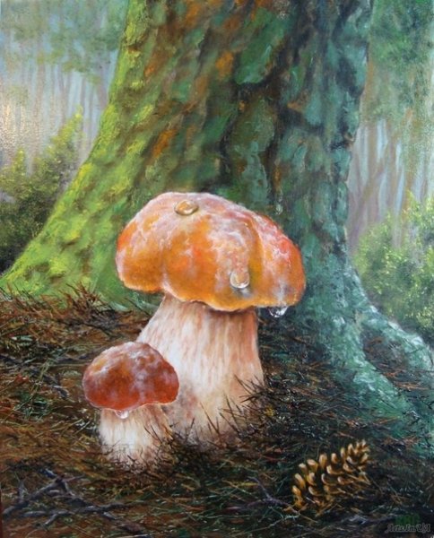 Грибной дождь проект