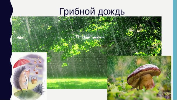 Рисунок на тему грибной дождик