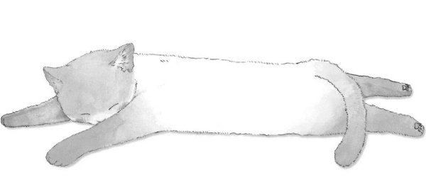 Нарисовать лежащего кота