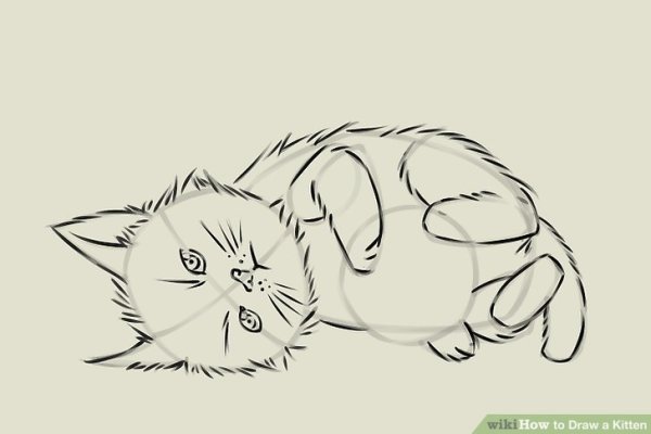 Нарисовать лежачего кота