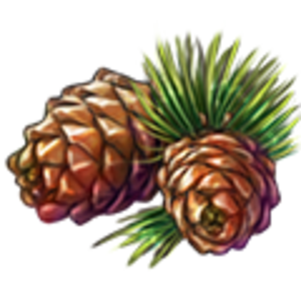 Мультяшная Кедровая шишка