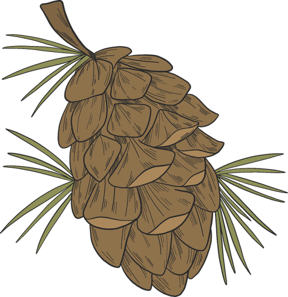 Шишка мультяшная