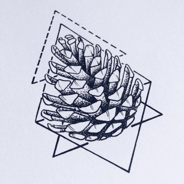 Шишка силуэт