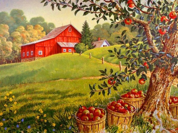 Сбор урожая в деревне