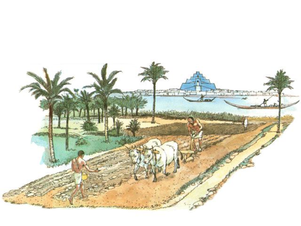 Древняя Месопотамия земледелие