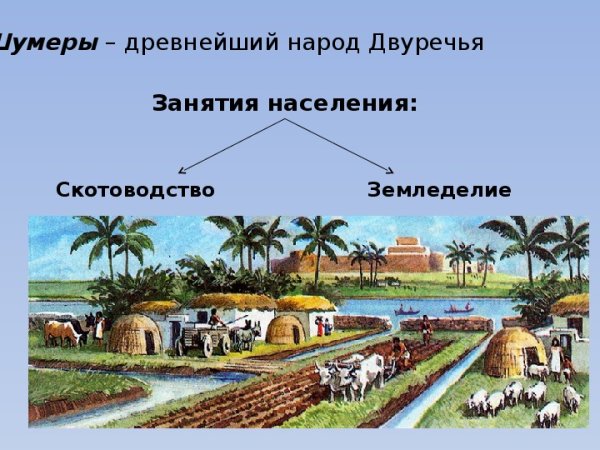 Древнее Двуречье 5 класс шумеры