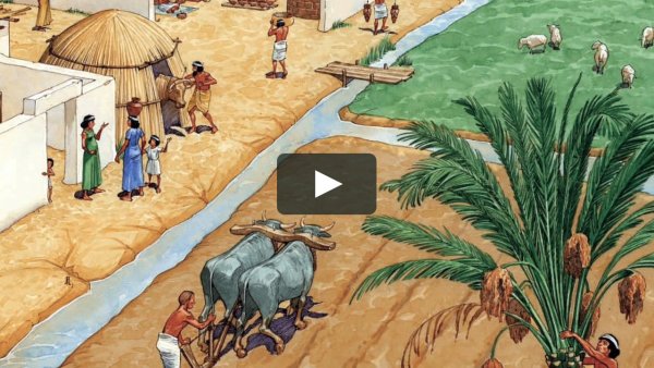 Ирригация Египет художник