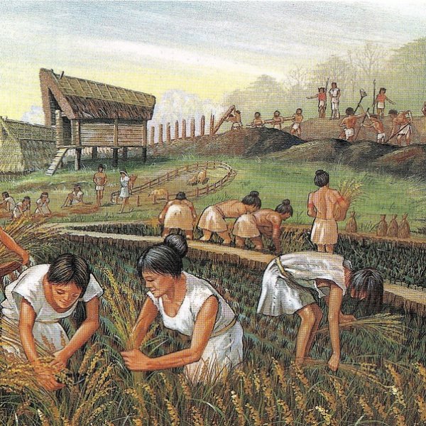 Древняя Месопотамия земледелие