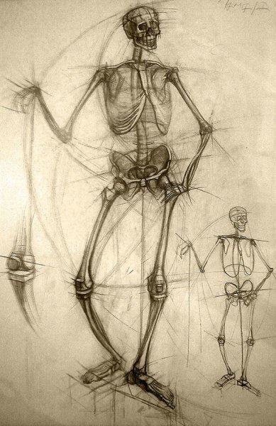 Скелет Академический