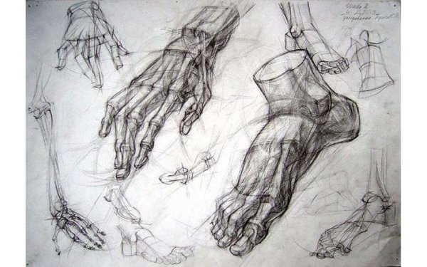 Баммес грудная клетка