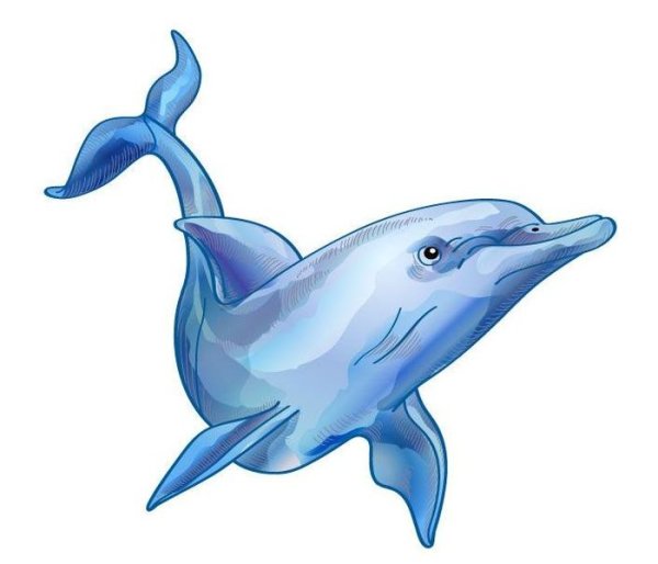 Дельфин рисунок