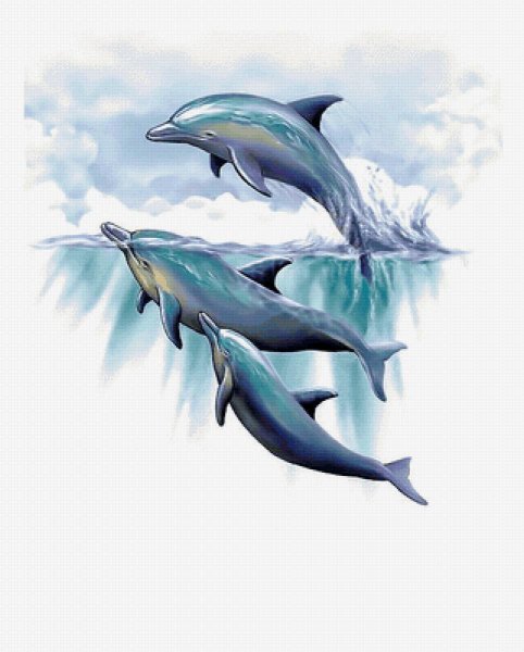 Дельфин рисуночек