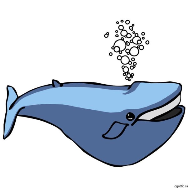 Кашалот нарисовать