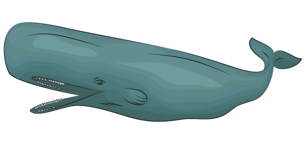 Кашалот мультяшный