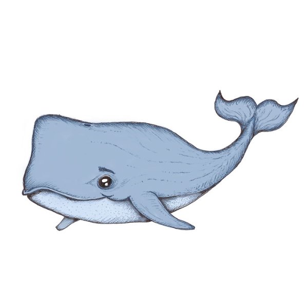 Кашалот для детей