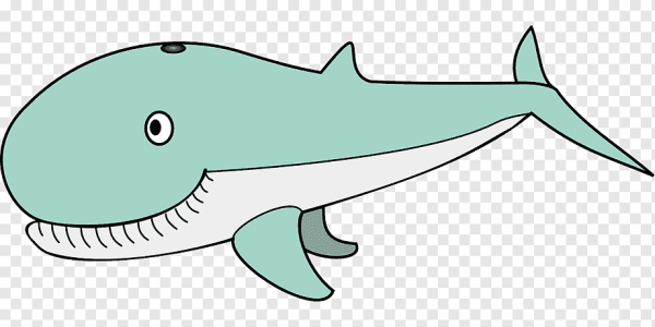 Мультяшная кит-акула